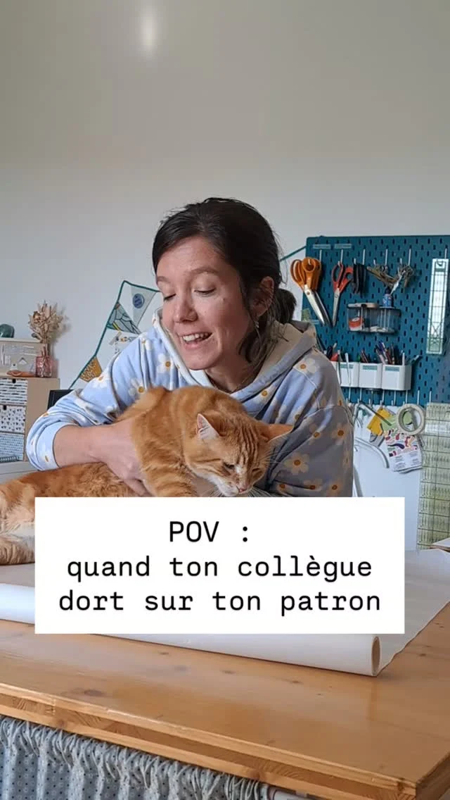 [GASTON] lui aussi, il est de retour ! 😻
3 mois qu'il accompagne mes siestes sur le canapé, et qu'il veille sur les patrons et les tissus en attendant mon retour ! 
Bon... toujours aussi collant, le Gaston !
Mais c'est aussi pour ça qu'on l'aime !

#gastonlechat #latelierdesgourdes #cat #catlover #couture